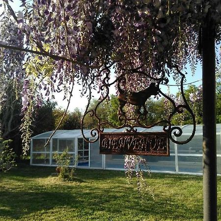 La Ferme Du Bien Etre Bed & Breakfast Athee-sur-Cher Exterior photo